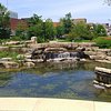 Things To Do in Knoll Wood Park,Kitchener, Restaurants in Knoll Wood Park,Kitchener