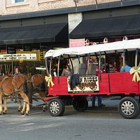 Wagon rides at Christmas