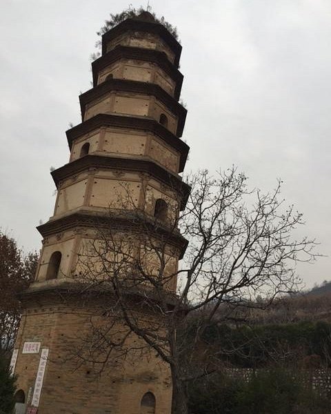 Daqin Pagoda image