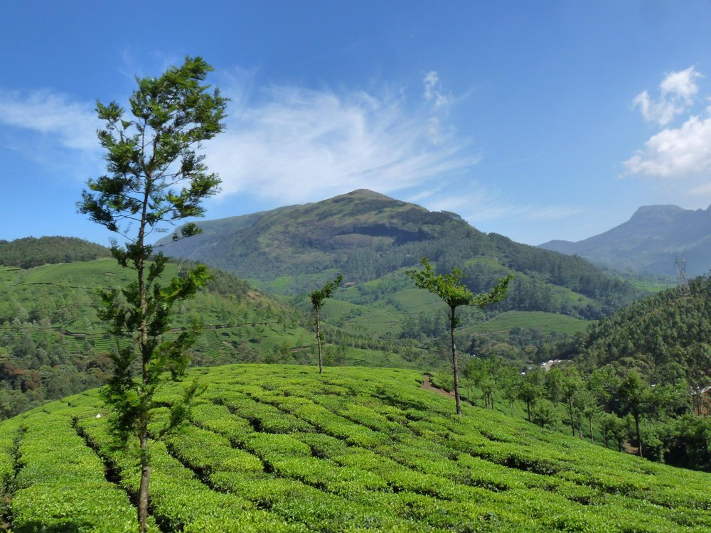 THE 10 BEST Kerala Mountains (with Photos) - Tripadvisor