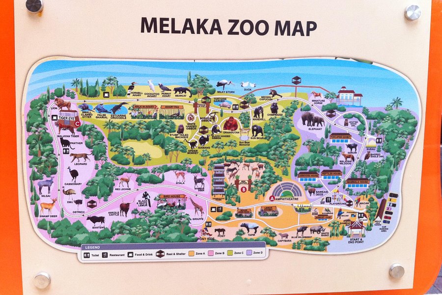 zoo melaka vs a famosa safari