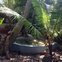 Pond
