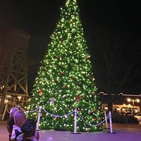 12-14-2015