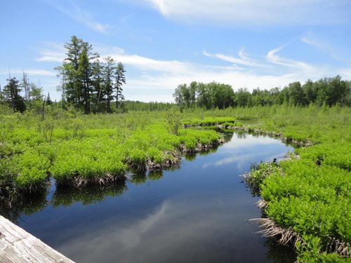 Activities :: Minocqua Dragon Boat