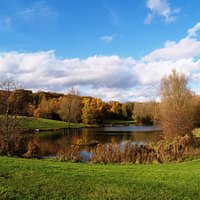 The park in autumn
