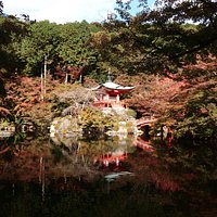 紅葉が綺麗