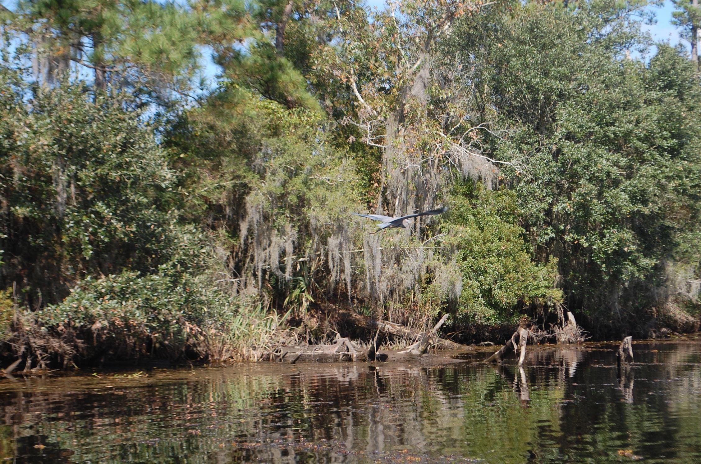 Canoe & Trail Adventures (New Orleans) - All You Need to Know BEFORE You Go