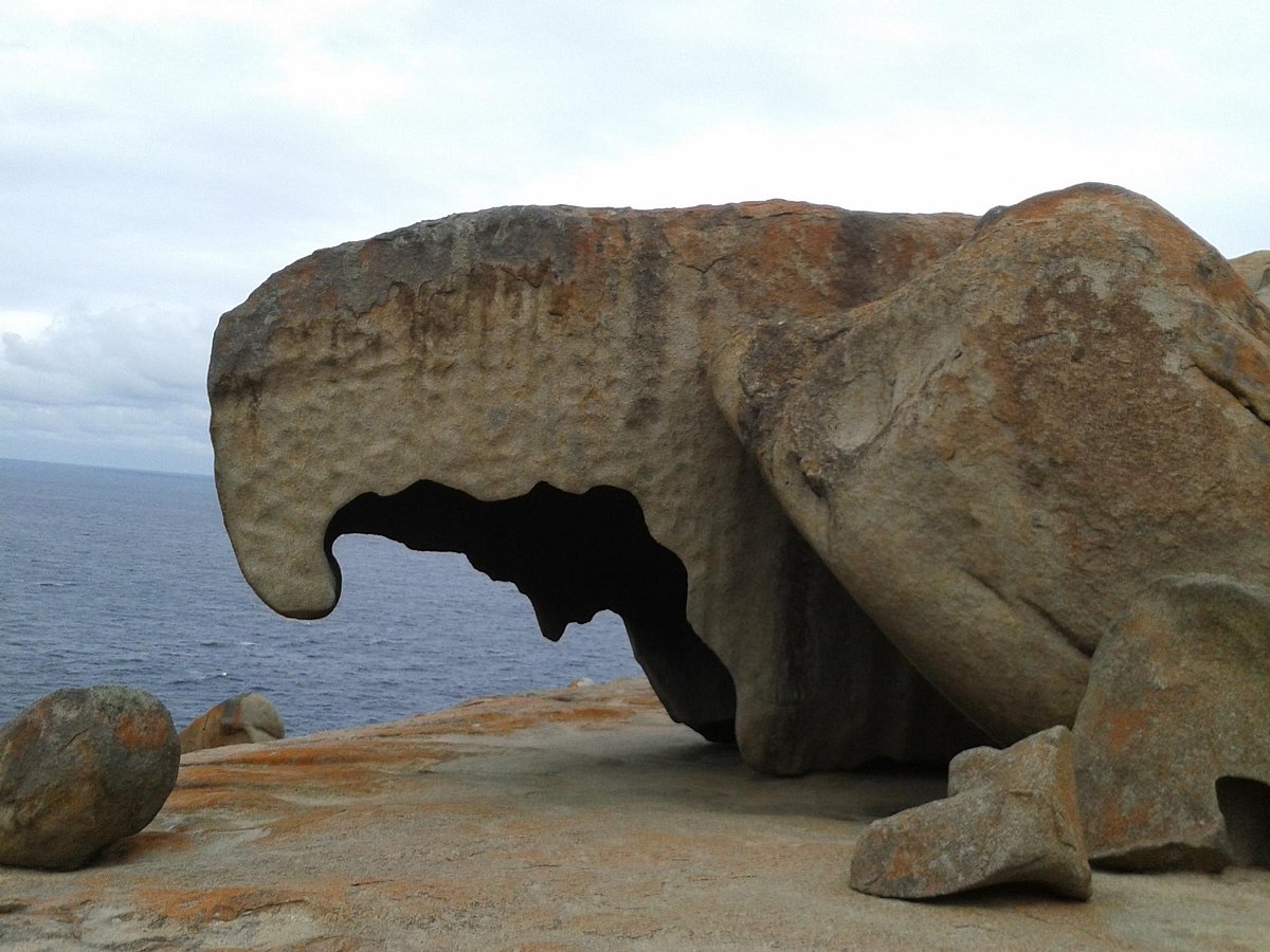 kangaroo island tours from kingscote