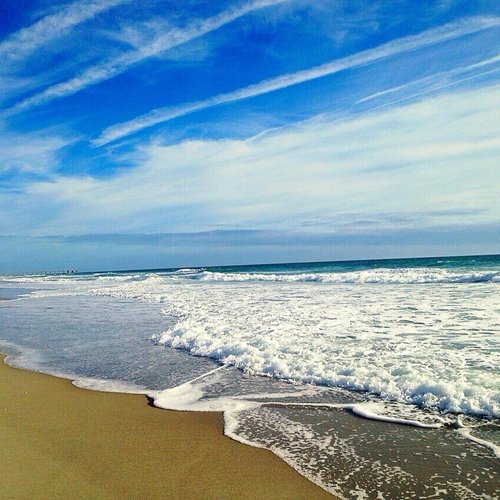 que playas permiten perros en carolina del norte