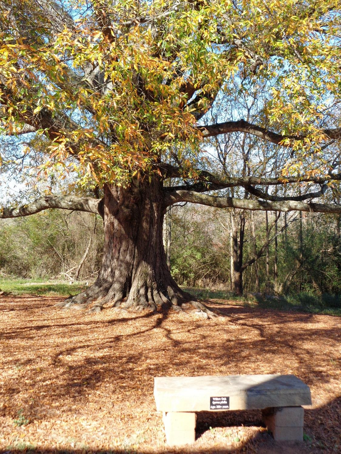 Discover The Timeless Elegance Of Heritage At McDonough: A Photographic Journey
