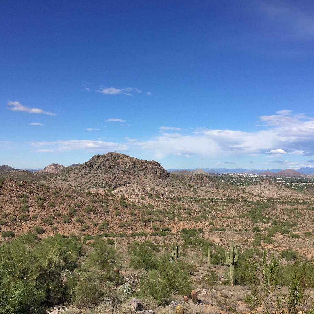 phoenix-mountain-preserve-2023-what-to-know-before-you-go