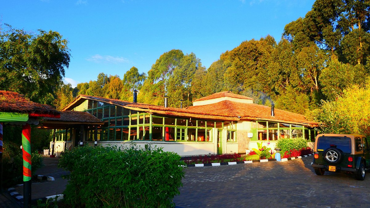 Amazing Base for a Once In a Lifetime Experience! - Review of Wilderness  Sabyinyo, Kinigi, Rwanda - Tripadvisor