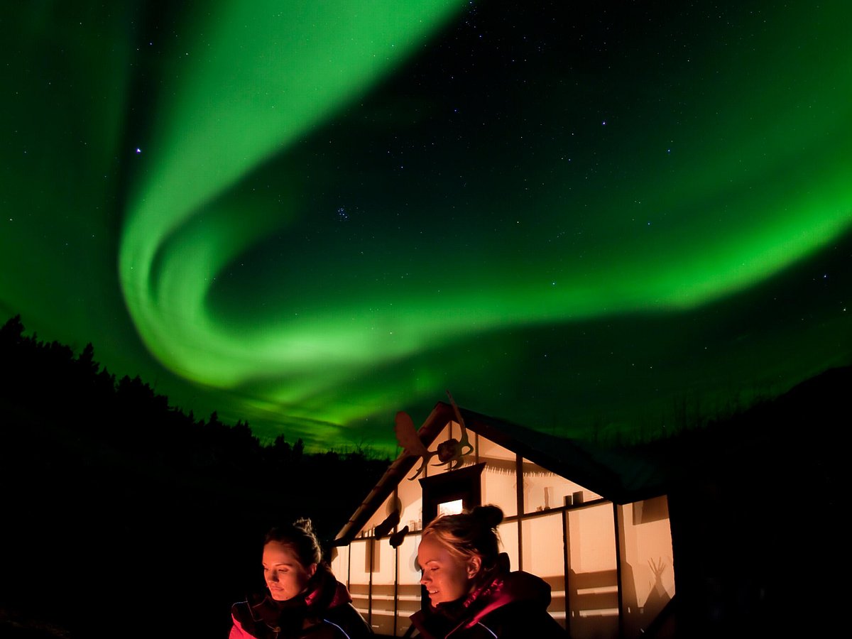 Aurora Hunting - Northern Lights Viewing in Whitehorse, Yukon