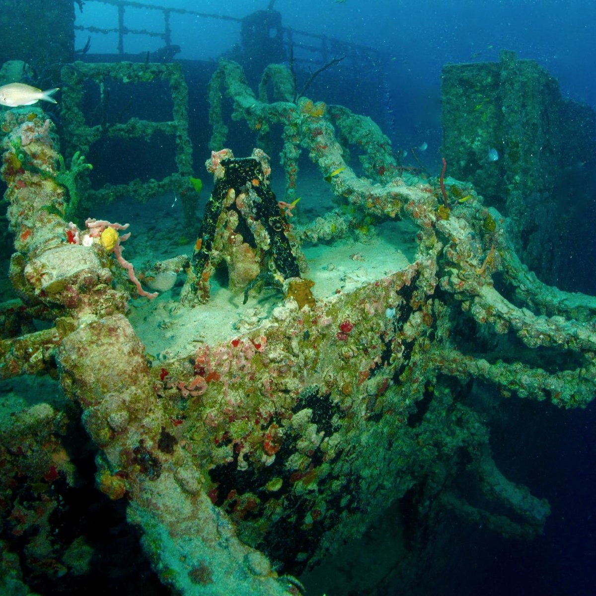 Spiegel Grove (Key Largo) Aktuelle 2022 Lohnt es sich? (Mit fotos)