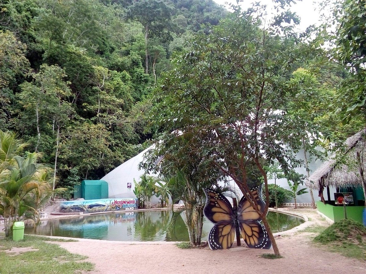 Mariposario Zhaveta Yard, La Merced: лучшие советы перед посещением -  Tripadvisor