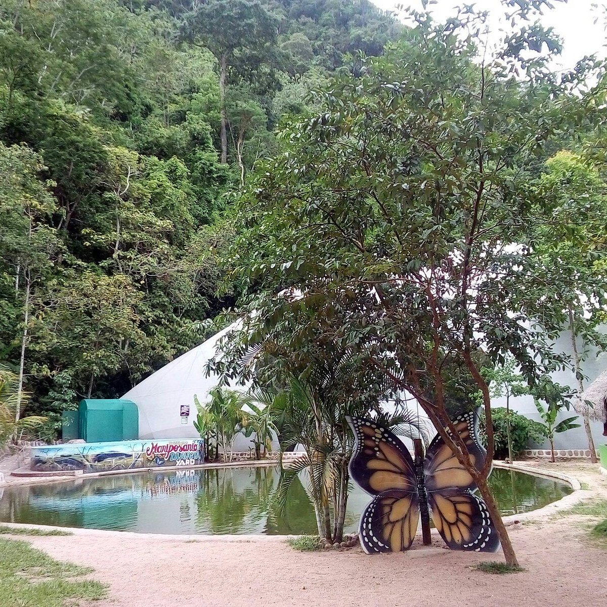 Mariposario Zhaveta Yard, La Merced: лучшие советы перед посещением -  Tripadvisor