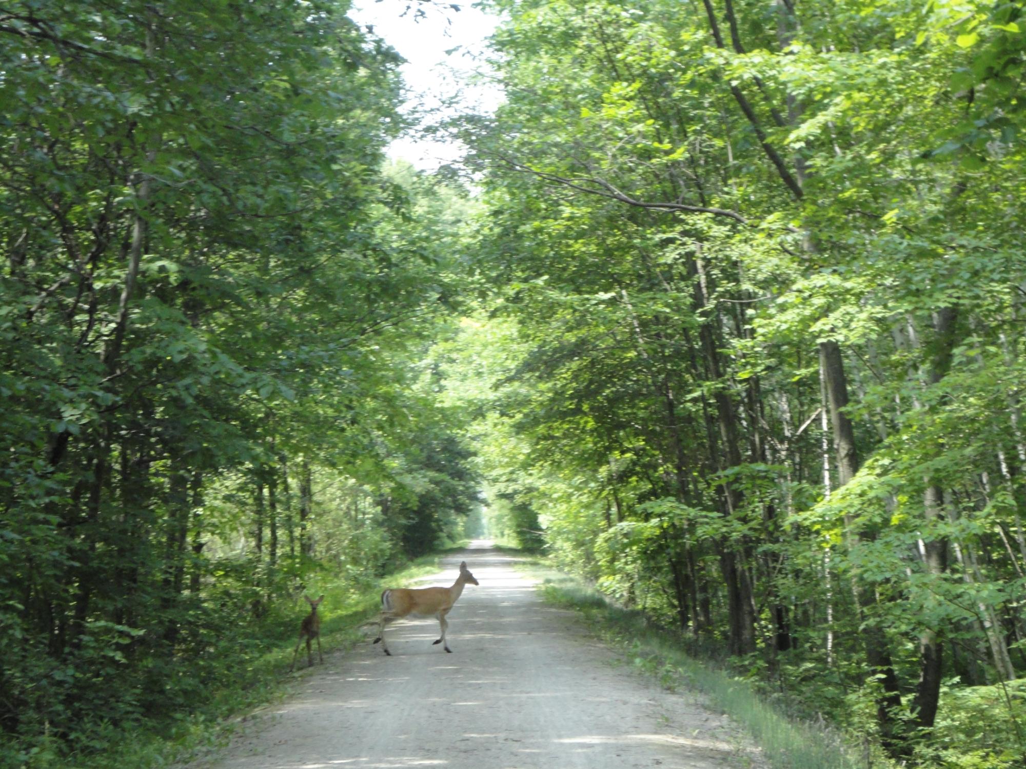 Hampton bay park discount trail