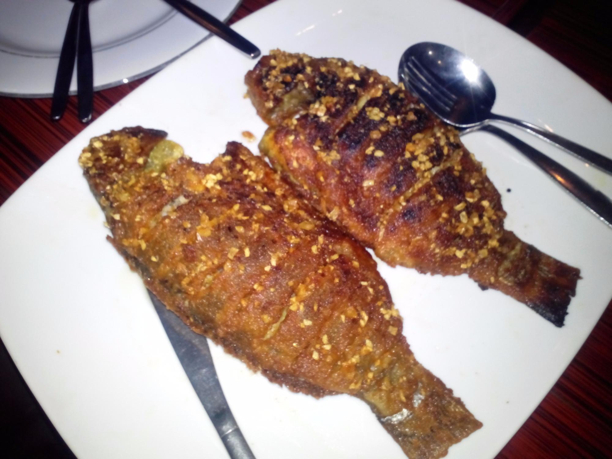 EFC A LIVE FISH RESTAURANT Cox s Bazar Restaurant Reviews Photos Phone Number Tripadvisor