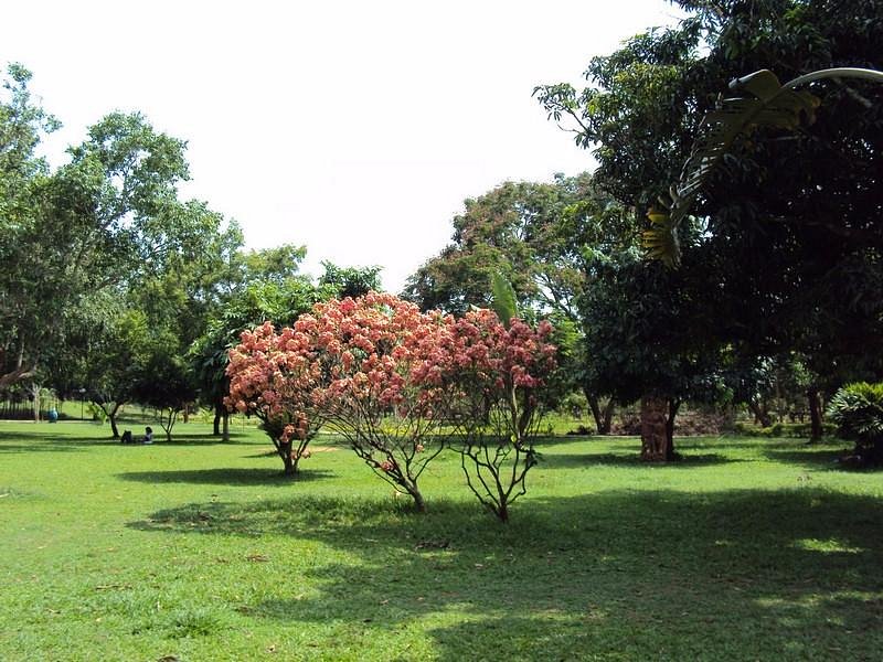Biju Patnaik Park (Bhubaneswar) - All You Need to Know BEFORE You Go