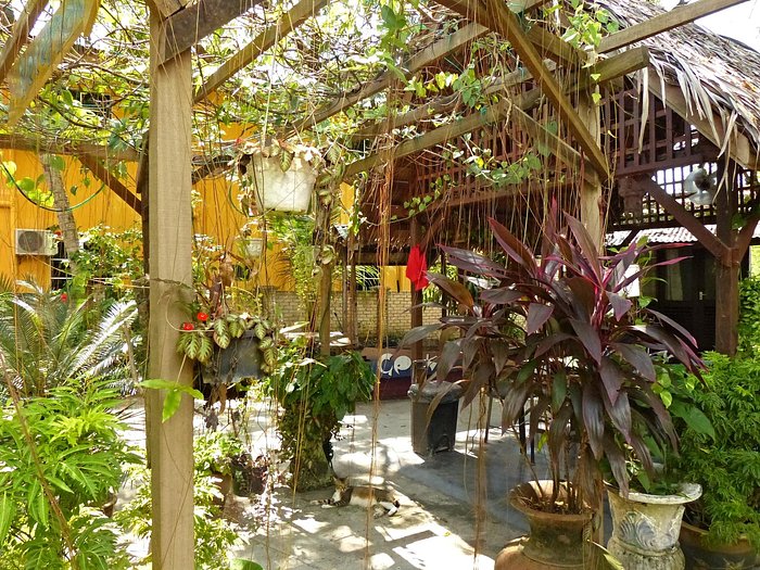 Gecko Guesthouse Langkawi Bewertungen And Fotos Malaysia Tripadvisor