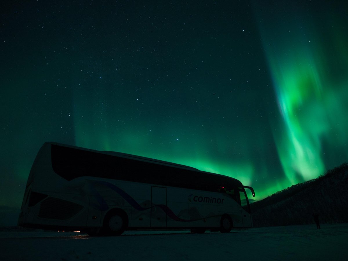 AURORA SAFARI (Tromso) - All You Need to Know BEFORE You Go