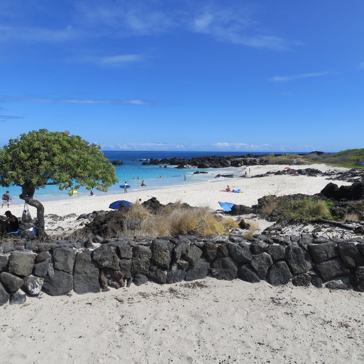 KEKAHA BEACH PARK - All You Need to Know BEFORE You Go 