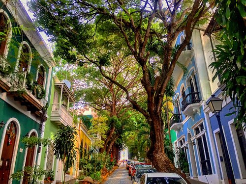 THE 15 BEST Things to Do in Puerto Rico - 2024 (with Photos