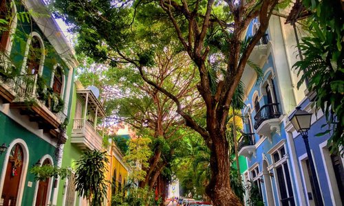 THE 15 BEST Things to Do in Puerto Rico - 2021 (with Photos) - Tripadvisor