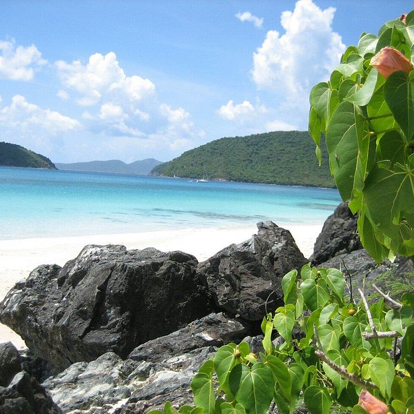 Jumbie Beach Virgin Islands National Park All You Need To Know Before You Go