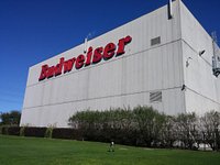 Budweiser Plant - Houston, TX - Local Business