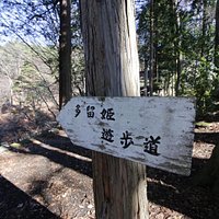 遊歩道の道標