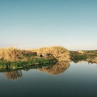 Oasi WWF Bosco Foce dell'Arrone