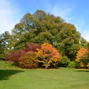 Moreton In Marsh Duck Pond (moreton-in-marsh) - All You Need To Know 