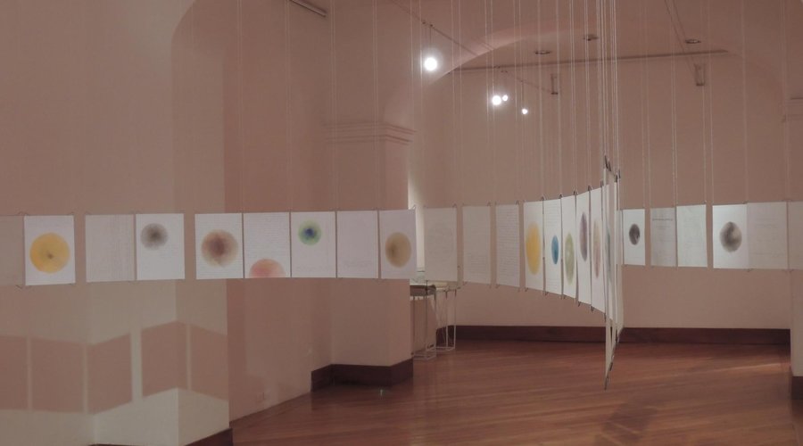 exposición