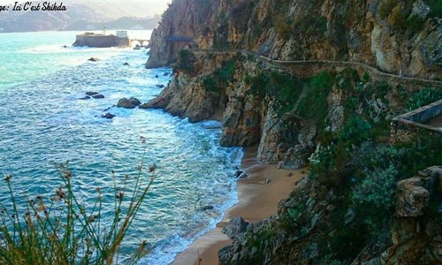 SKIKDA