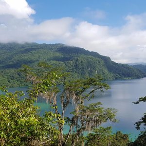 Reserva Ecológica Huitepec (San Cristóbal de las Casas) - 2023 Lo que se  debe saber antes de viajar - Tripadvisor