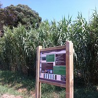 Parcours découverte