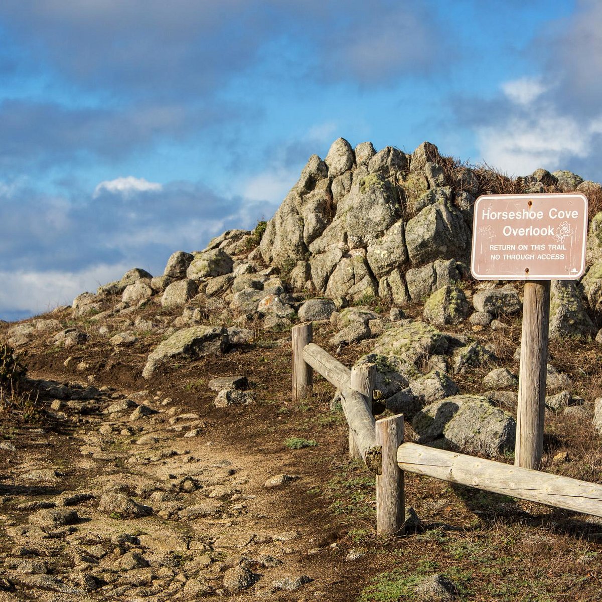 Horseshoe Cove Overlook, Bodega: лучшие советы перед посещением 