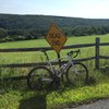 Traveling_Swissie