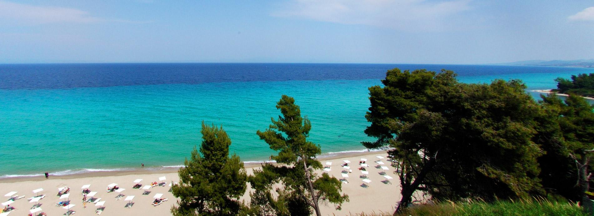 Hotel photo 63 of Alexander The Great Beach Hotel.