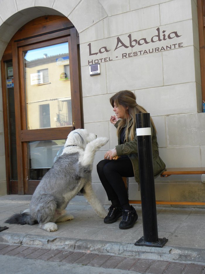 Imagen 20 de Hotel  La Abadia Somontano