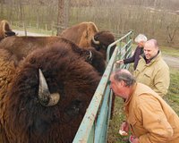 Boss Bison Ranch (Cadiz) - All You Need to Know BEFORE You Go