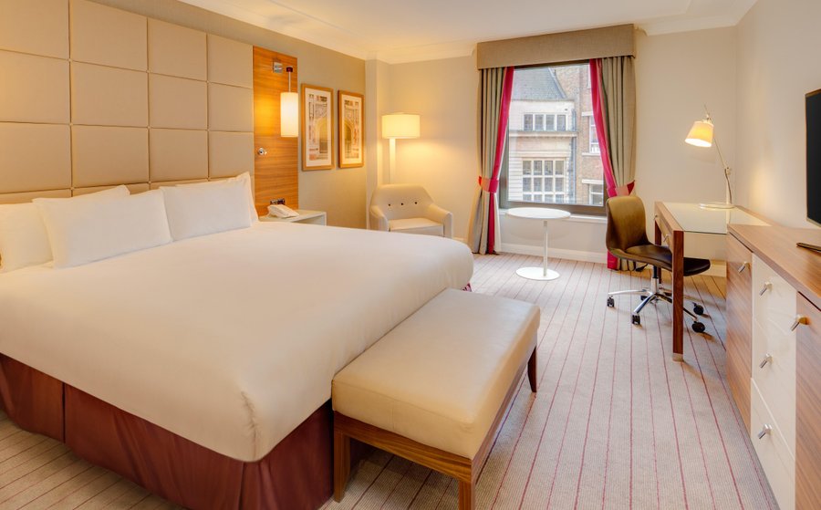 King Guestroom