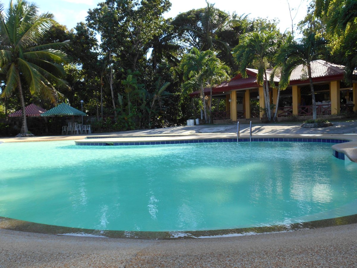 Tori's Paradise Pool Pictures & Reviews - Tripadvisor