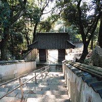 階段を見下ろした様子