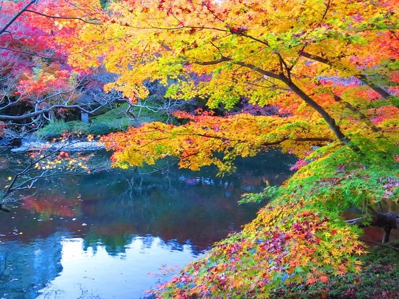 Happo-en Garden (Shirokanedai) - All You Need to Know BEFORE You Go