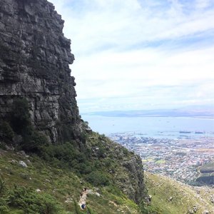 unde să cumpărați nutralu în cape town cel mai puternic supliment de ardere a grăsimilor