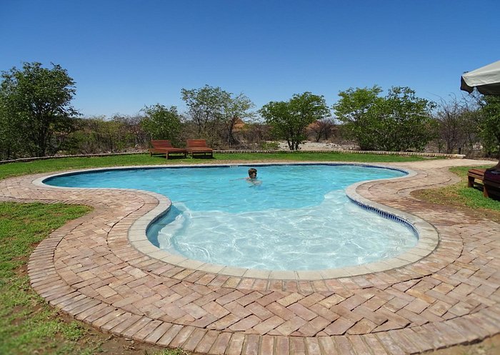 one of the swimming pools in Etosha Safari Lodge