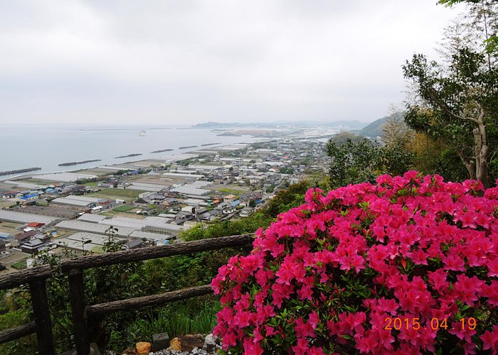 22年日本南国市的旅游景点 旅游指南 行程 Tripadvisor