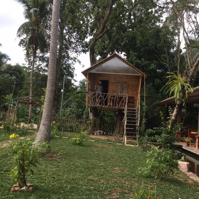 GIRAFFA TREE BUNGALOW - Lodge Reviews (Phu Quoc Island, Vietnam)